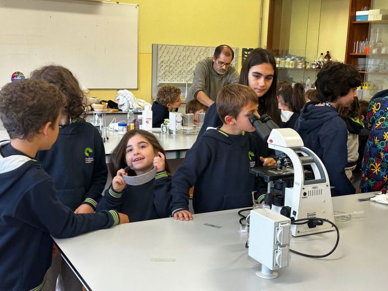 606230945_1433197351843587_573614325672442791_n